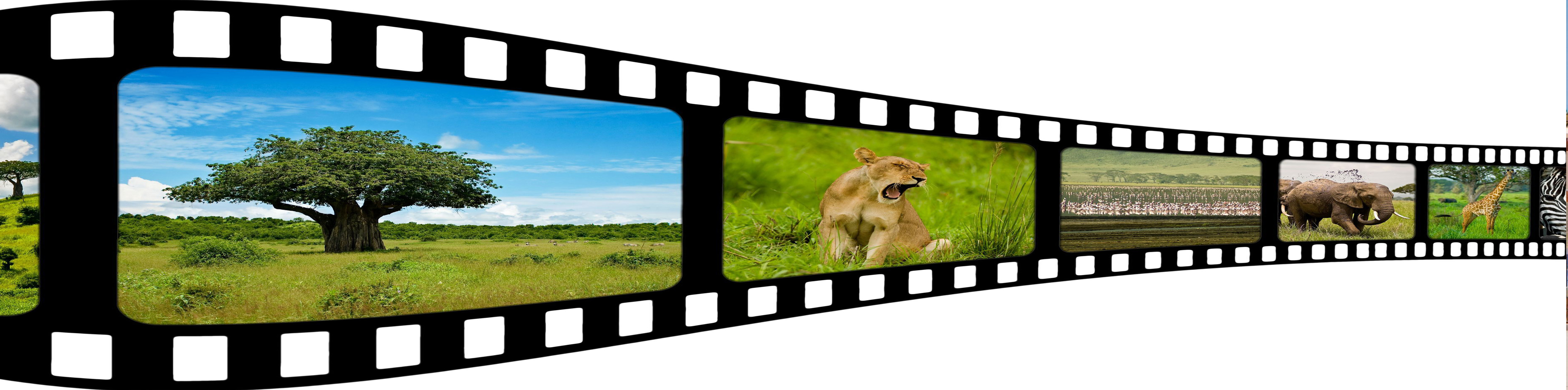 Slide Afrique 4